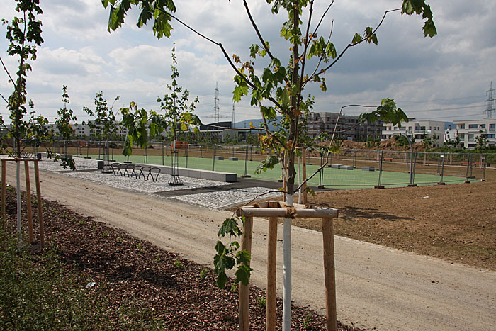 Basketballfeld.