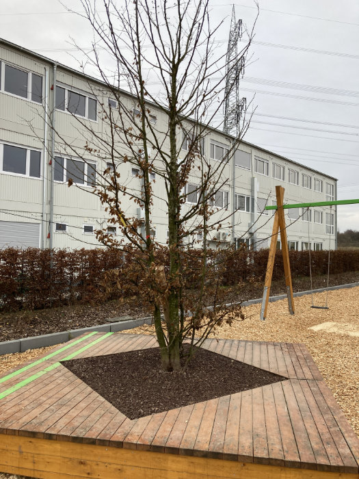 Gibt es nicht so oft: Zwei Bäume direkt auf dem Spielplatz als natürlicher Sonnenschutz.