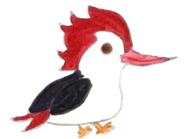 Zeichnung eines Spechts